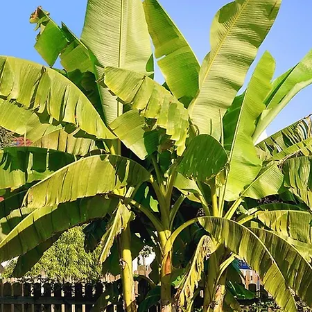Jaeger Feriehus Friedrichshafen