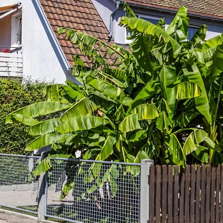 Jaeger Semesterbostad