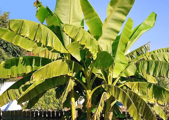 Jaeger Сasa de vacaciones Friedrichshafen